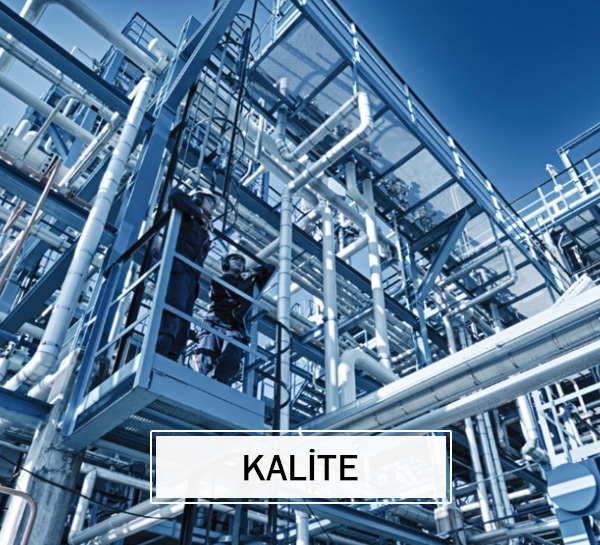 Kalite